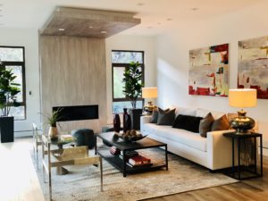 Home Staging Modern Living Room
